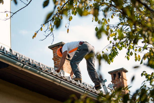 Best Commercial Roofing Services  in Fris, CO
