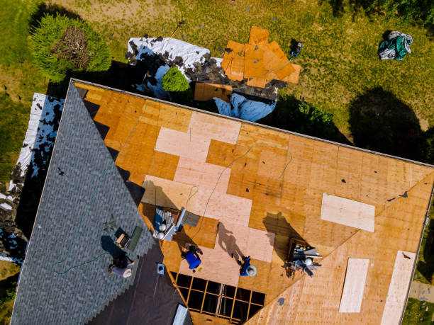 Best Roof Waterproofing Services  in Fris, CO